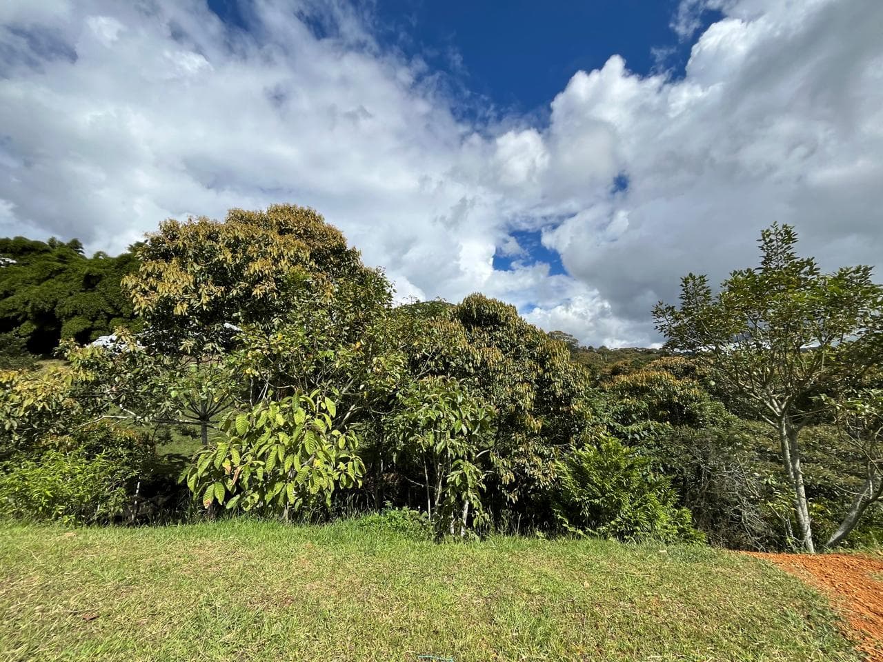 Finca en arriendo en La Ceja — foto 4 de 19
