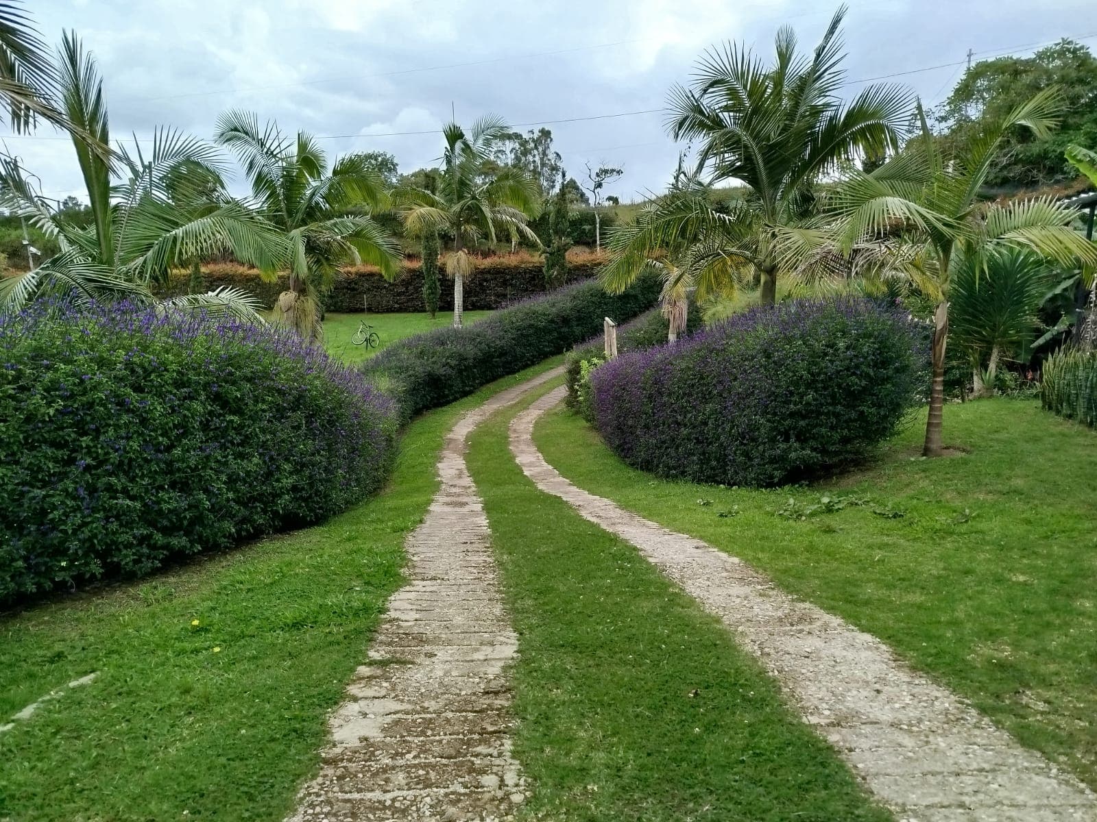Casa Campestre en arriendo en De Vivoral, El Carmen De Viboral — foto 2 de 20