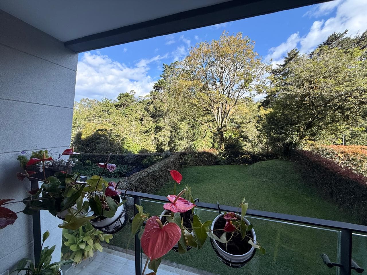 Apartamento en arriendo en Sajonia, Rionegro — foto 3 de 20