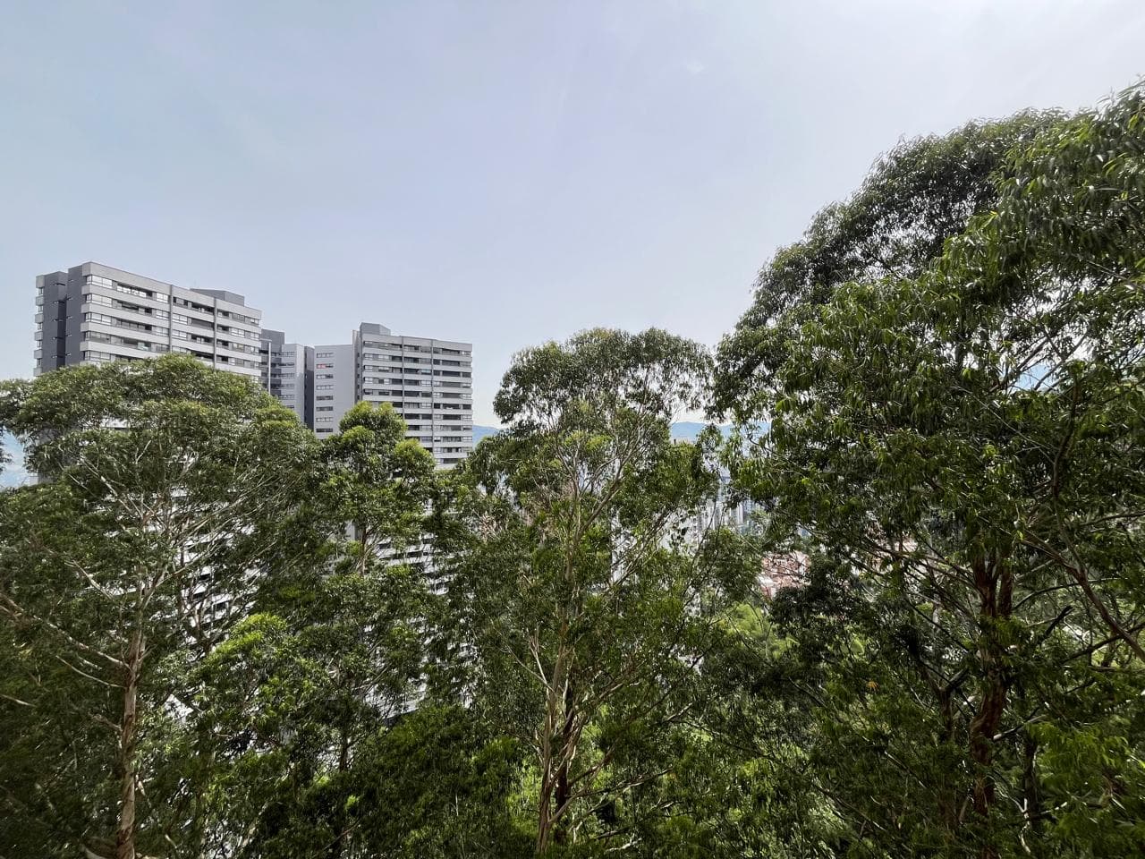 Apartamento en arriendo en Las Palmas M, Poblado, Medellín — foto 3 de 15