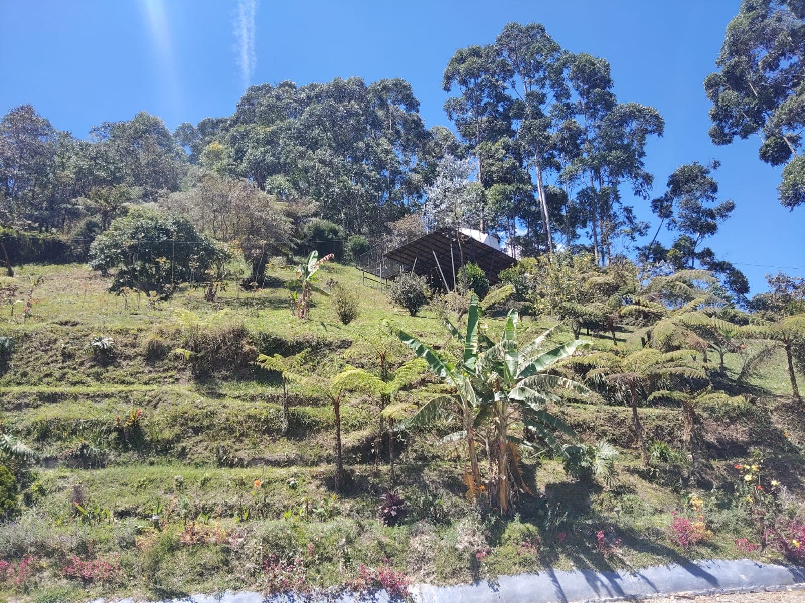 Casa Campestre en arriendo en Caldas — foto 3 de 20