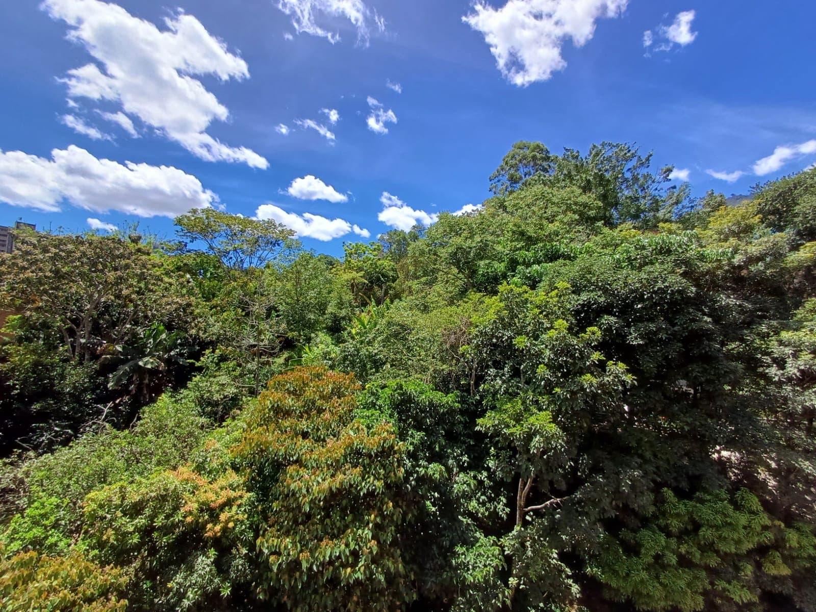 Apartamento en arriendo en Camino Verde, Envigado — foto 1 de 20