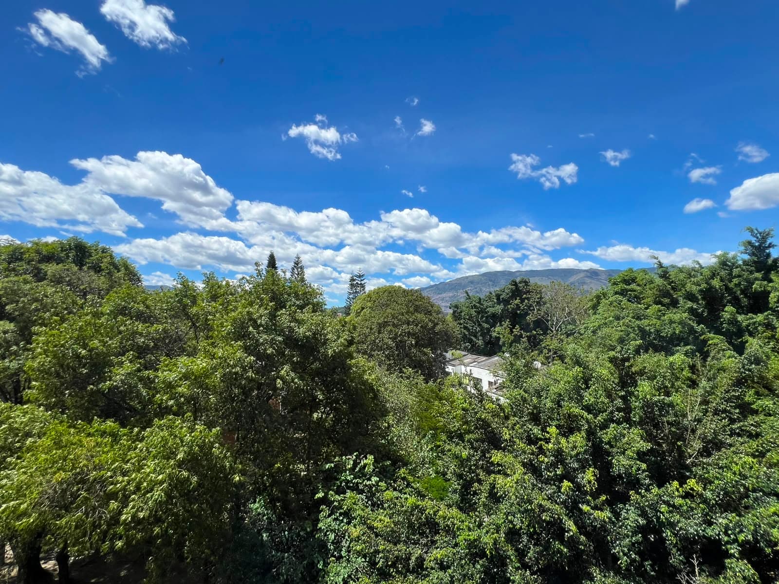 Oficina en arriendo en Laureles, Medellín — foto 1 de 11