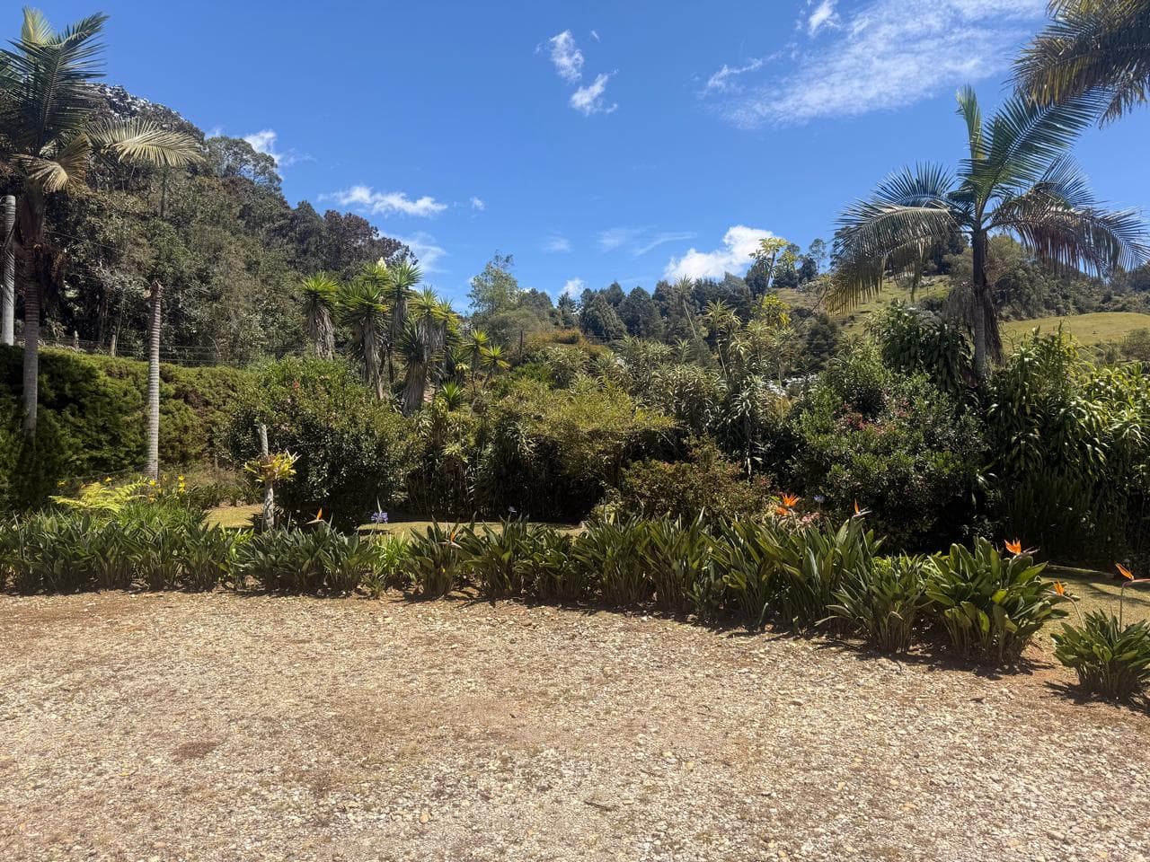 Casa Vivienda en arriendo en Sajonia, Rionegro — foto 5 de 20