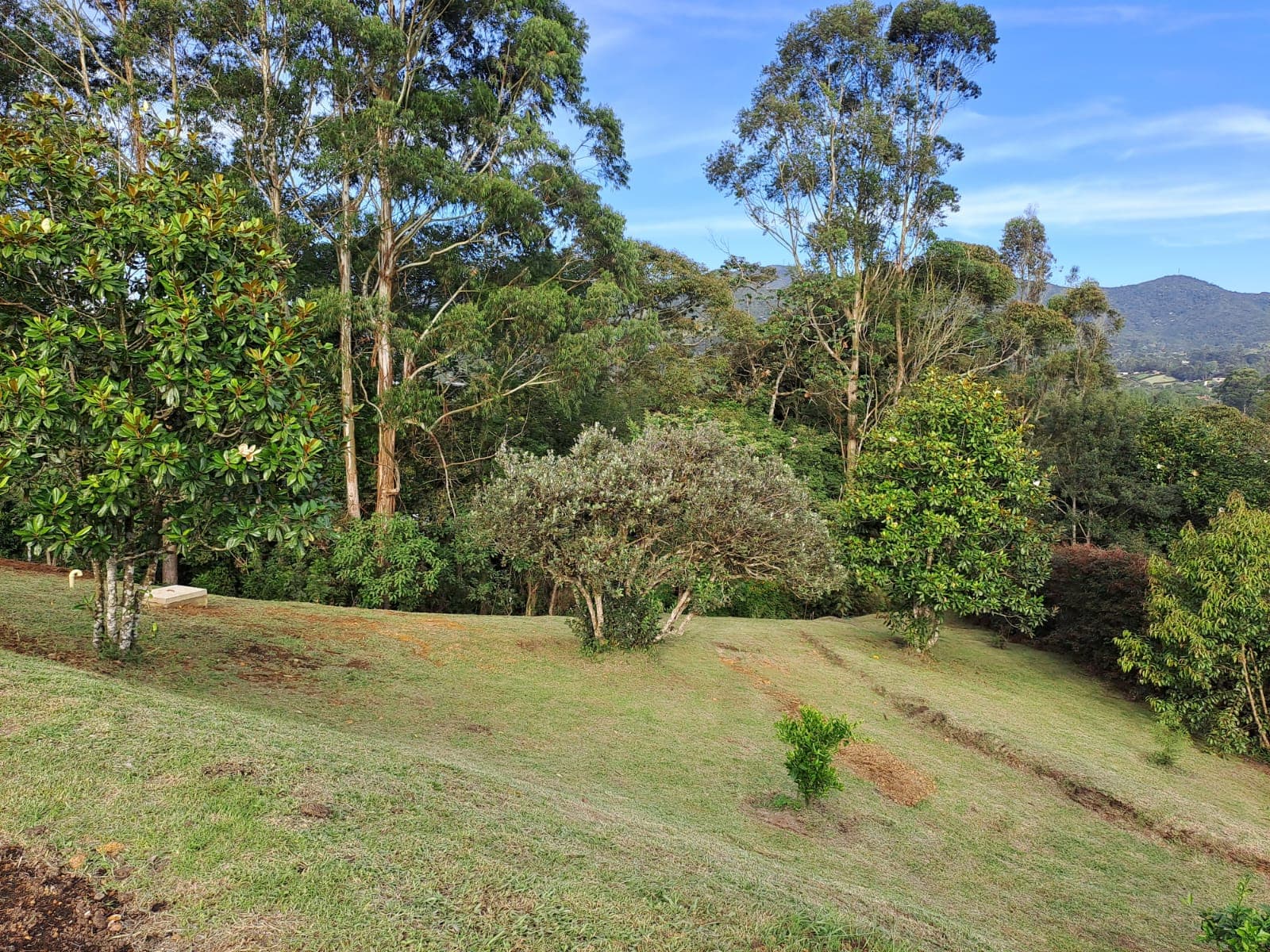 Finca en arriendo en La Ceja — foto 5 de 20
