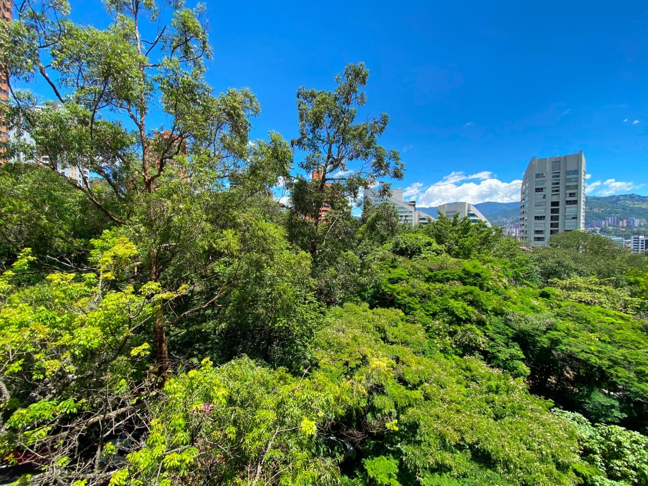 Apartamento en arriendo en La Tomatera, Poblado, Medellín — foto 2 de 20