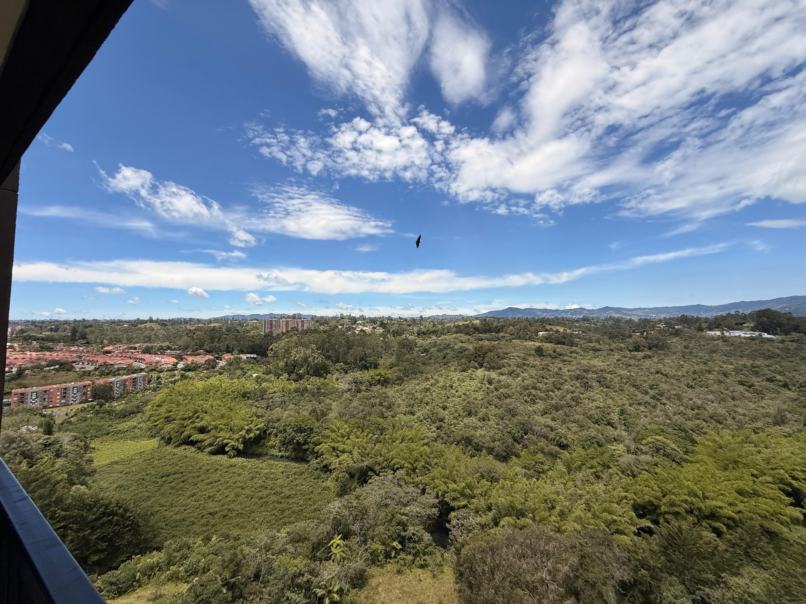 Apartamento en arriendo en Rionegro — foto 2 de 20