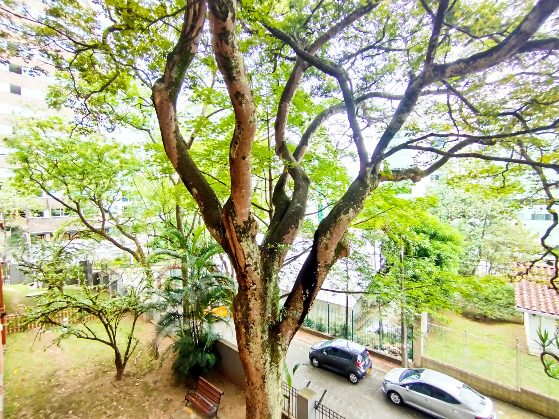 Apartamento en arriendo en Alejandría, Poblado, Medellín — foto 1 de 14