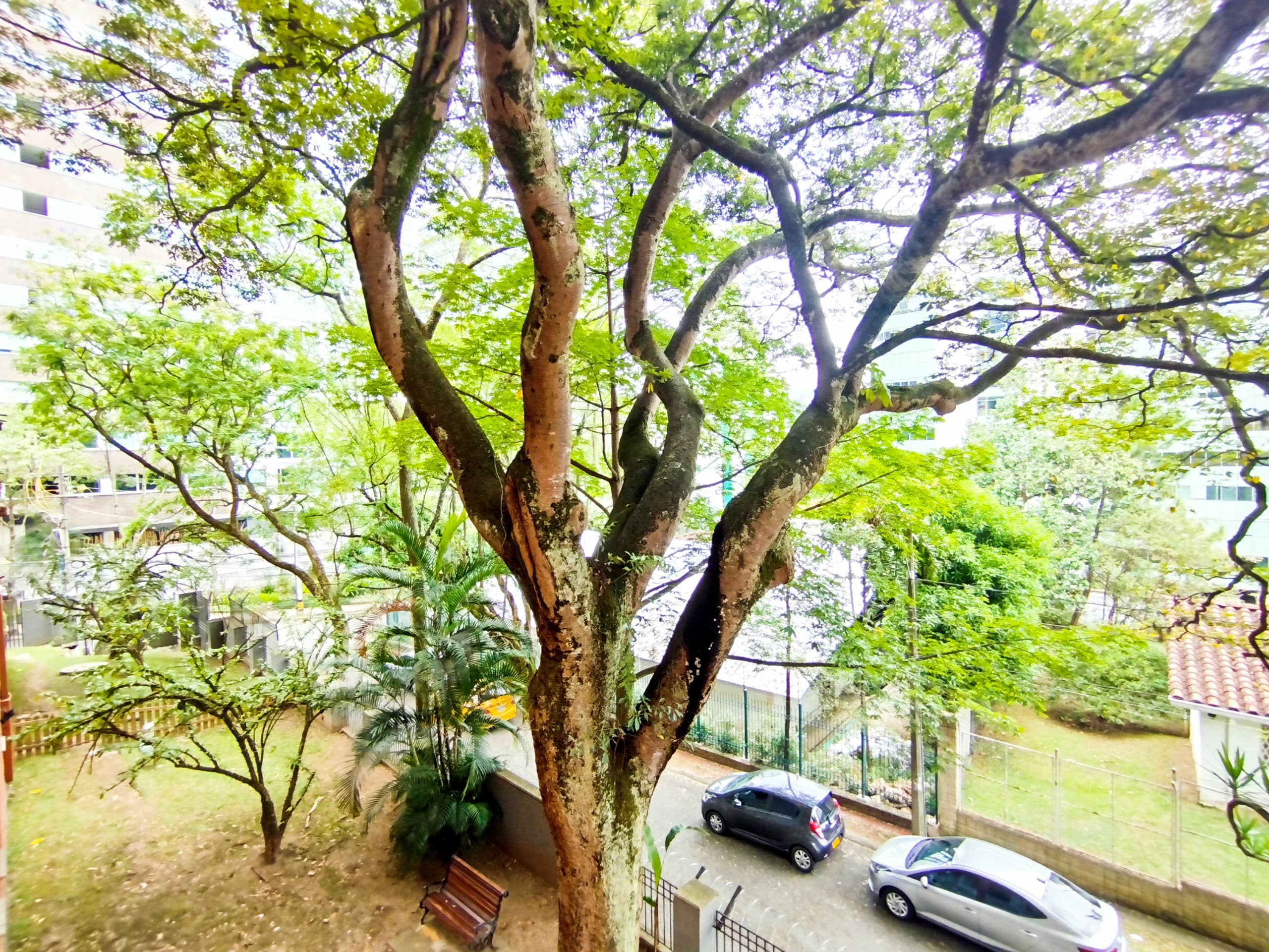 Apartamento en arriendo en Alejandría, Poblado, Medellín — foto 1 de 14