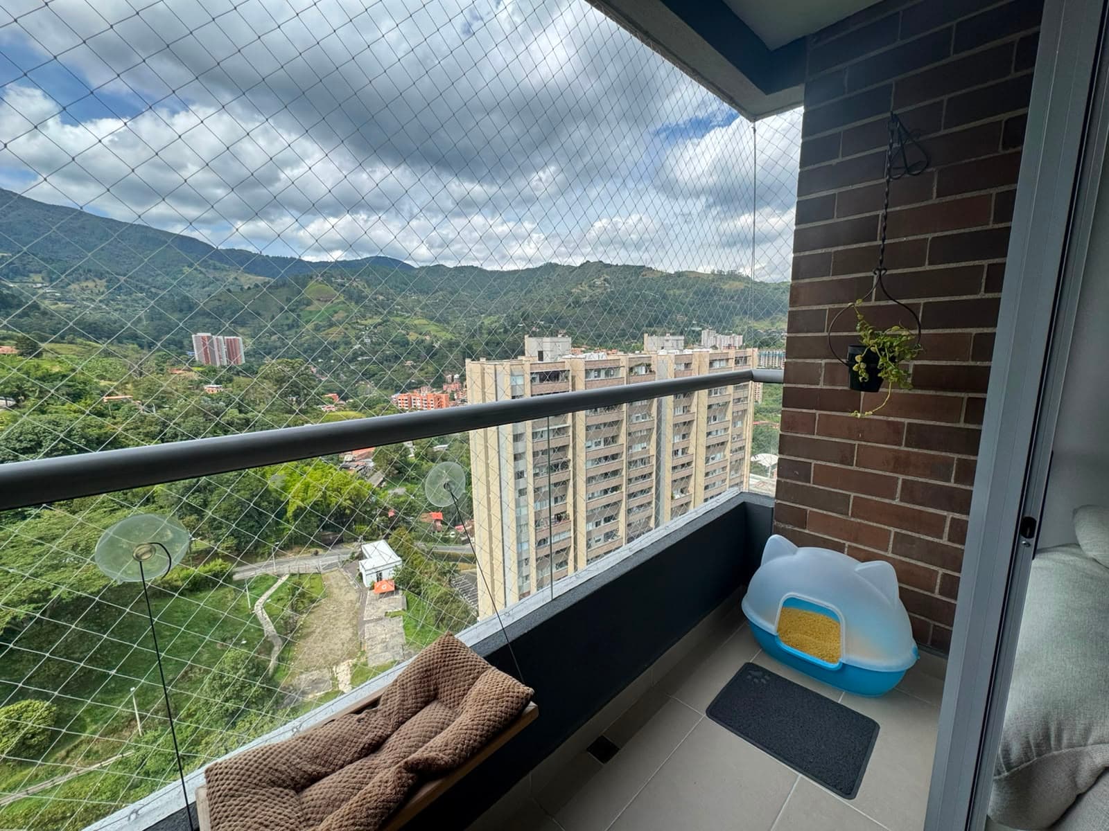 Apartamento en arriendo en El Chinguí, Envigado — foto 2 de 13