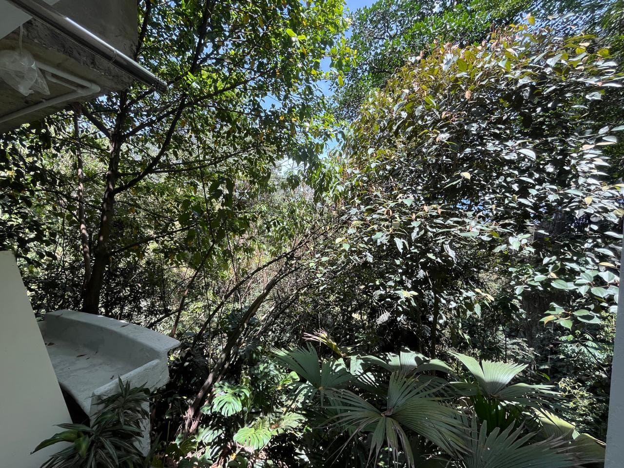 Apartamento en arriendo en El Tesoro, Poblado, Medellín — foto 5 de 13