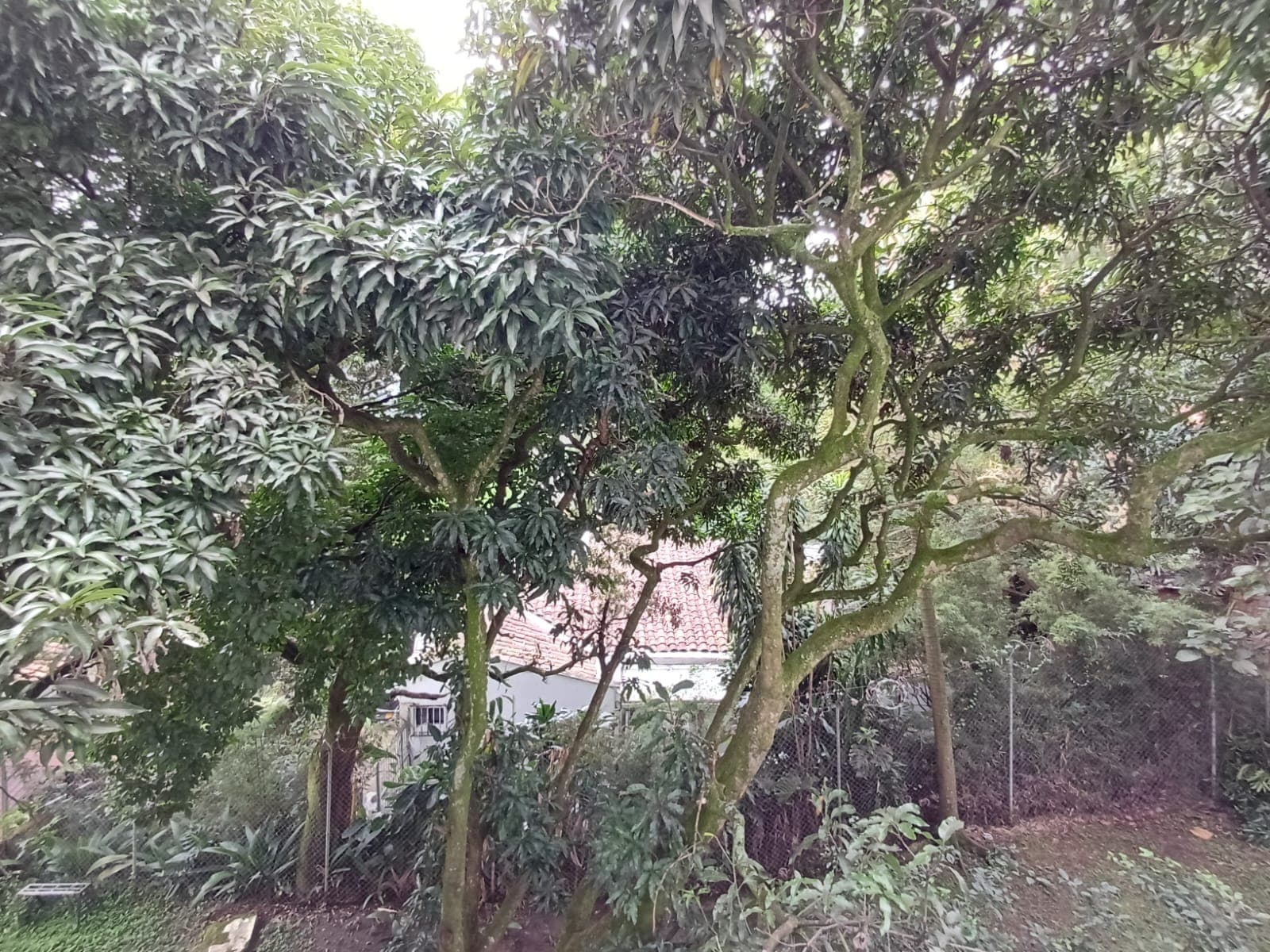 Apartamento en arriendo en Castropol, Poblado, Medellín — foto 1 de 20