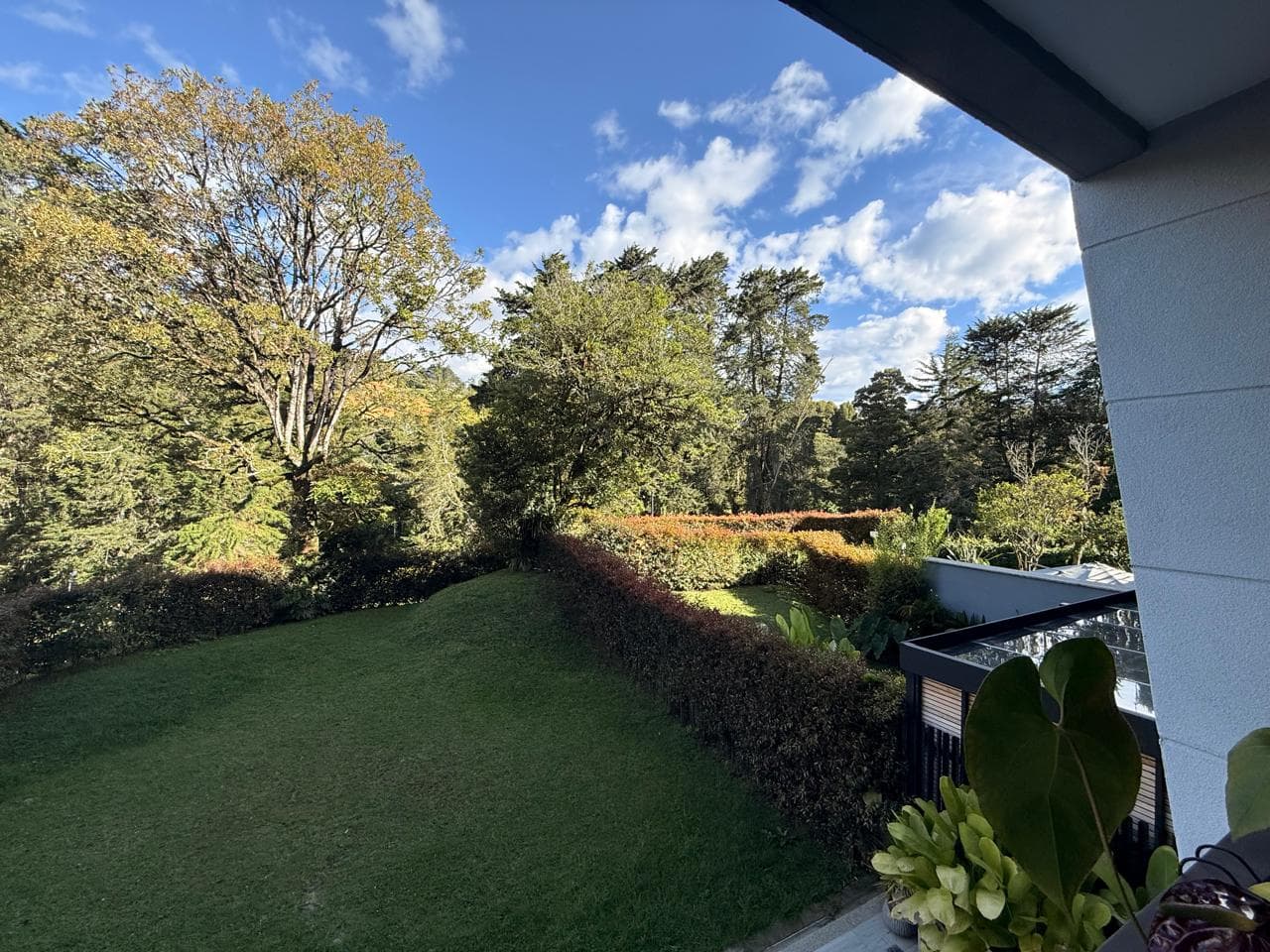 Apartamento en arriendo en Sajonia, Rionegro — foto 1 de 20