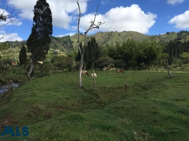 Lote Residencial en venta en V. La Honda, Oriente Antioqueño, Guarne — foto 1 de 10