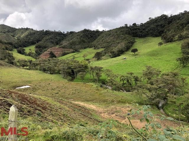 Lote Residencial en venta en Pantanillo, Oriente Antioqueño, La Ceja — foto 1 de 10
