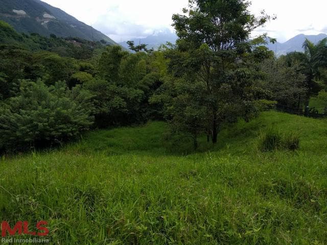 Lote Residencial en venta en La Albania, Otras Zonas, Titiribi — foto 1 de 12