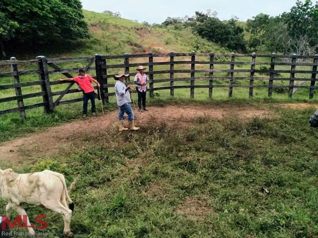Finca Recreativa en venta en Otras Zonas, Necoclí — foto 1 de 11
