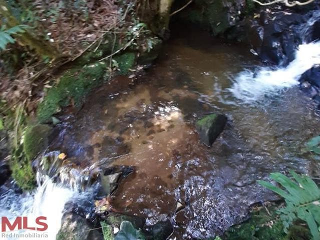 Lote Residencial en venta en Autopista, Oriente Antioqueño, Guarne — foto 1 de 38