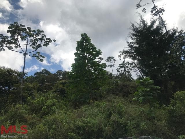 Lote Residencial en venta en Las Palmas, Poblado, Medellín — foto 1 de 5