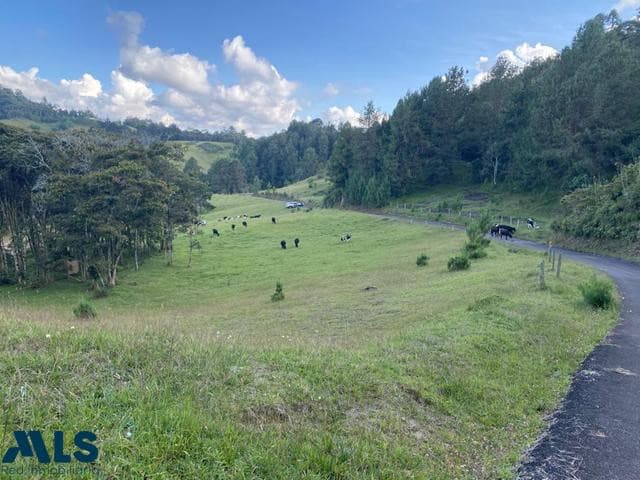 Lote Residencial en venta en V. Carrizales, Oriente Antioqueño, El Retiro — foto 1 de 16