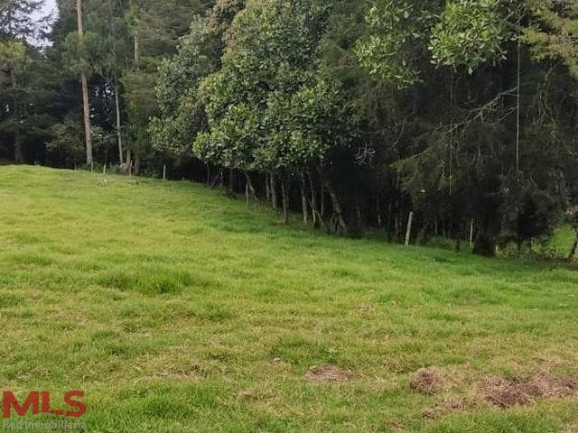 Lote Residencial en venta en Rural, Oriente Antioqueño, Santa Elena — foto 1 de 8