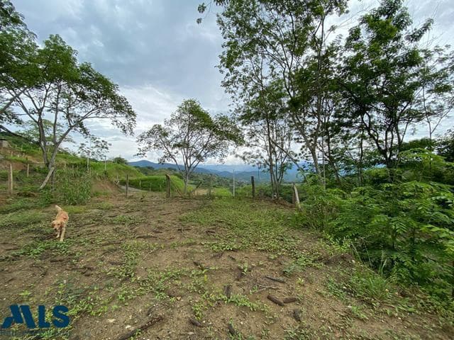 Lote Residencial en venta en El Palmar, Occidente Antioqueño, Sopetrán — foto 1 de 10