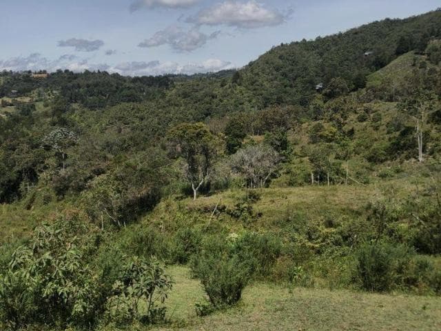 Lote Residencial en venta en V. Sajonia, Oriente Antioqueño, Rionegro — foto 1 de 14
