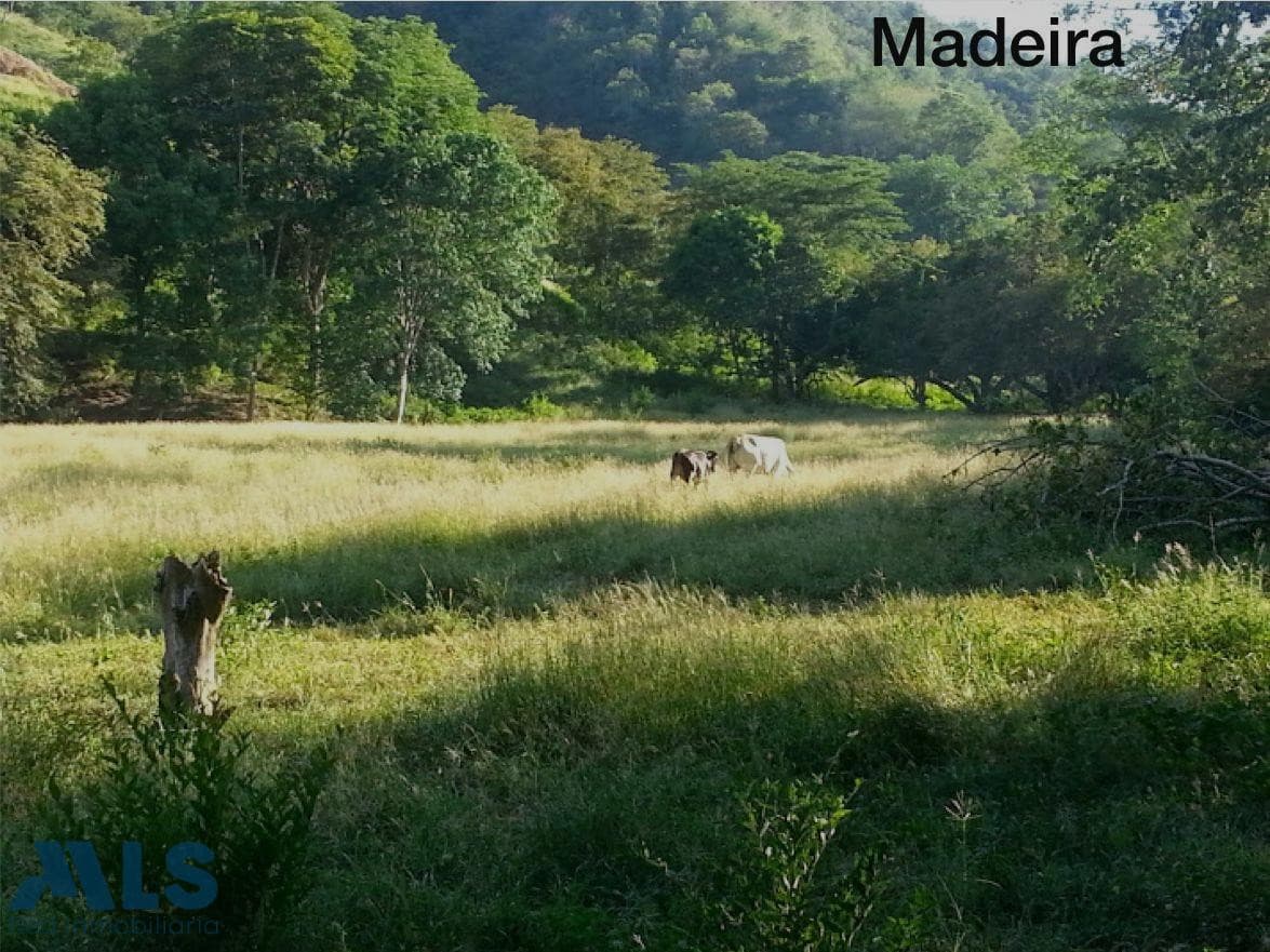 Lote Comercial en venta en V. Tafetanes, Occidente Antioqueño, Sopetrán — foto 1 de 13