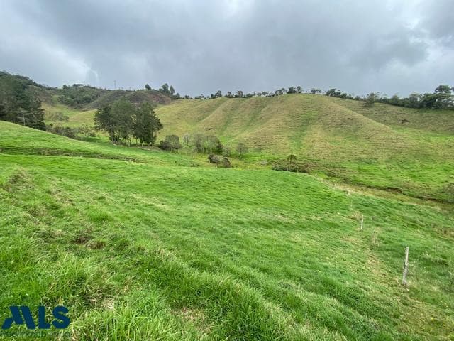 Lote Residencial en venta en Pantanillo, Oriente Antioqueño, La Ceja — foto 1 de 11