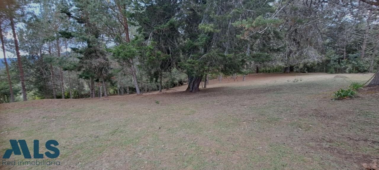 Lote Residencial en venta en Alto De Las Palmas (el, Oriente Antioqueño, El Retiro — foto 1 de 17