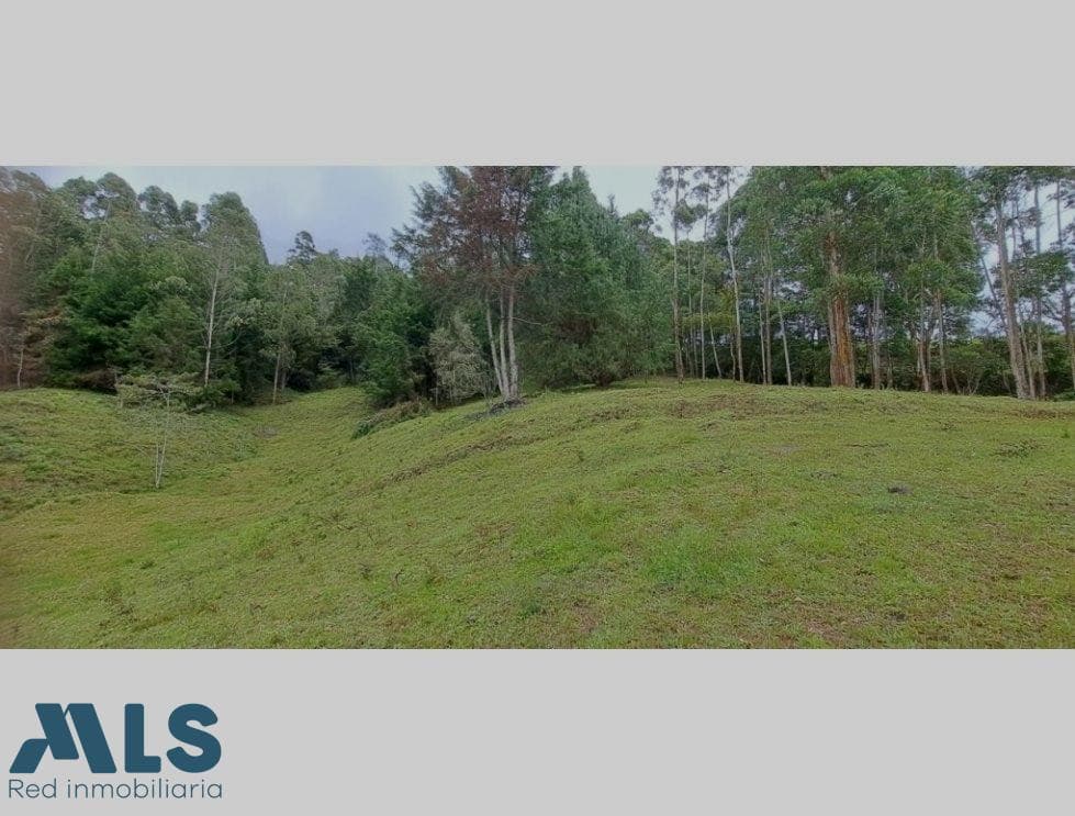 Lote Residencial en venta en Corredor San Antonio La (la, Oriente Antioqueño, La Ceja — foto 1 de 12