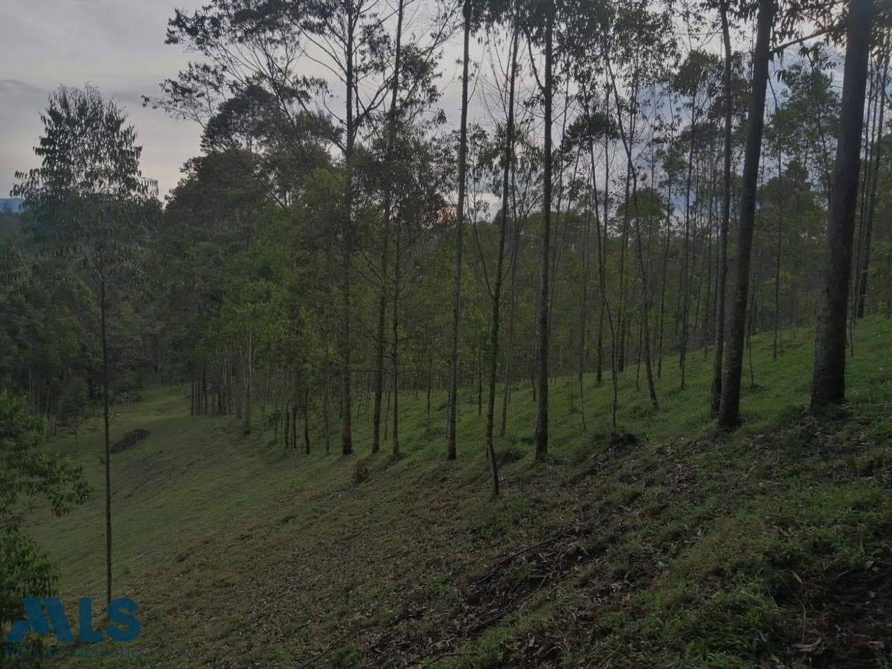 Lote Residencial en venta en Rural, Oriente Antioqueño, El Carmen — foto 1 de 29