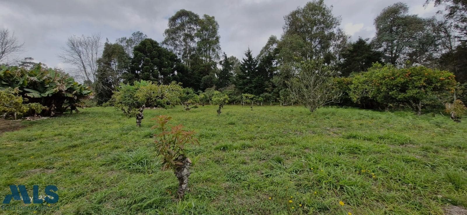 Lote Residencial en venta en Aeropuerto, Oriente Antioqueño, Rionegro — foto 1 de 33
