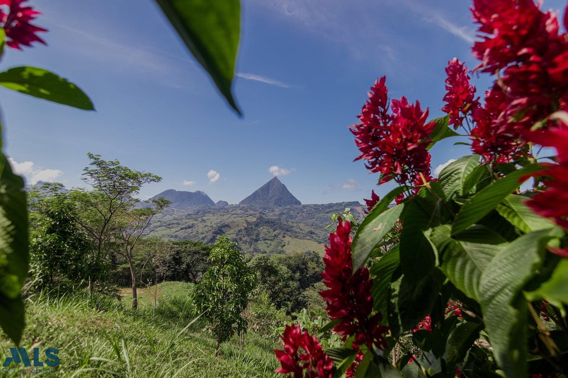 Lote Residencial en venta en V. Cerro Tusa, Otras Zonas, Bolombolo — foto 1 de 13