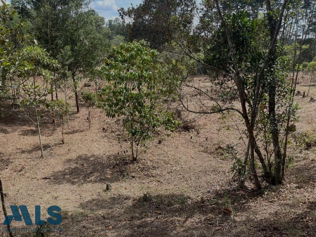 Lote Residencial en venta en Rural, Oriente Antioqueño, Guarne — foto 1 de 20