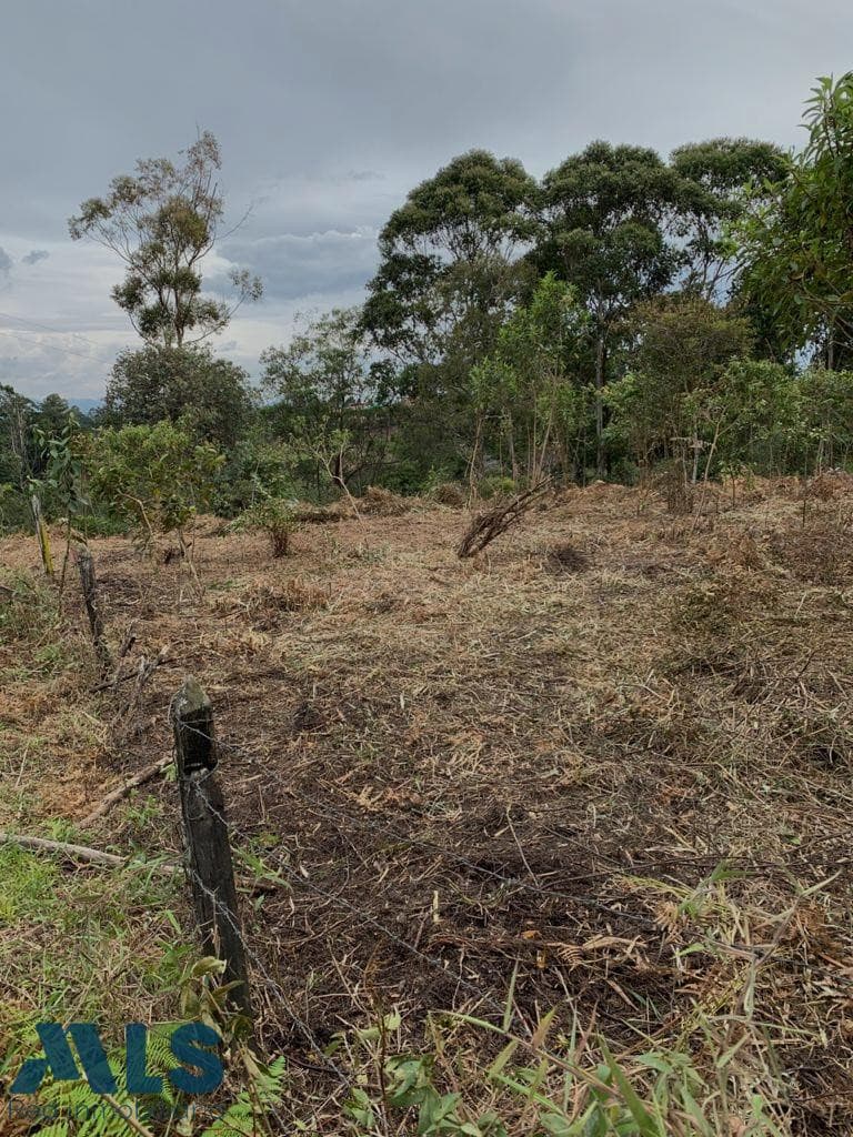 Lote Residencial en venta en V Los Pinos, Oriente Antioqueño, Rionegro — foto 1 de 8