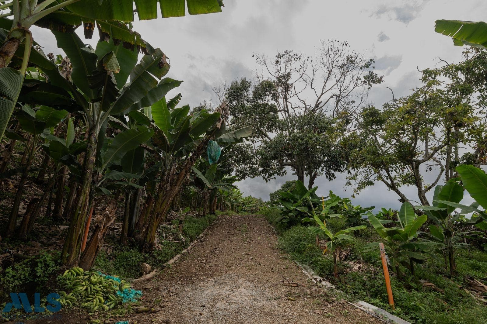 Lote Residencial en venta en Rural, Otras Zonas, Jardin — foto 1 de 11