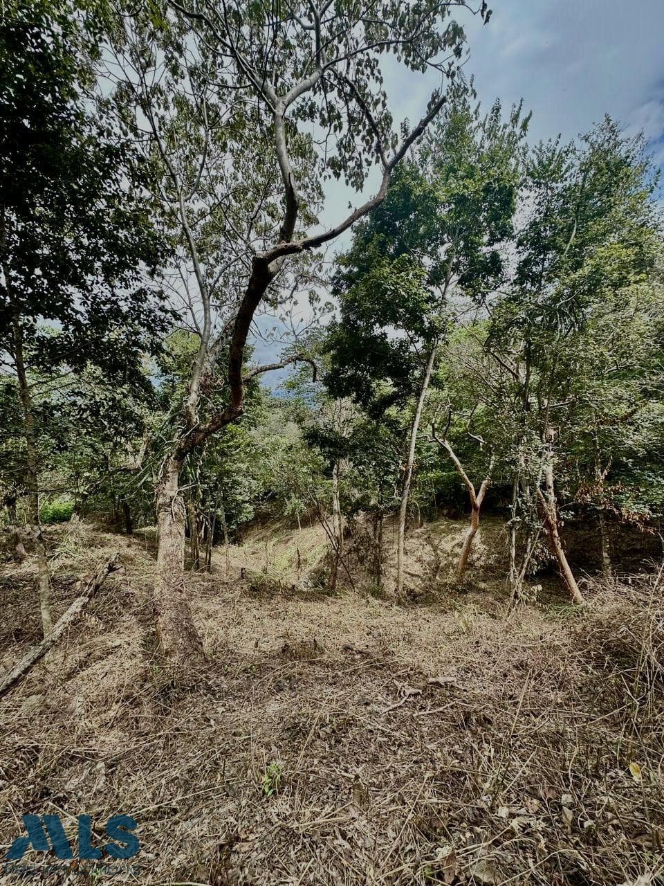 Lote Residencial en venta en V. El Espinal, Occidente Antioqueño, Santa Fe De Antioquia — foto 1 de 9