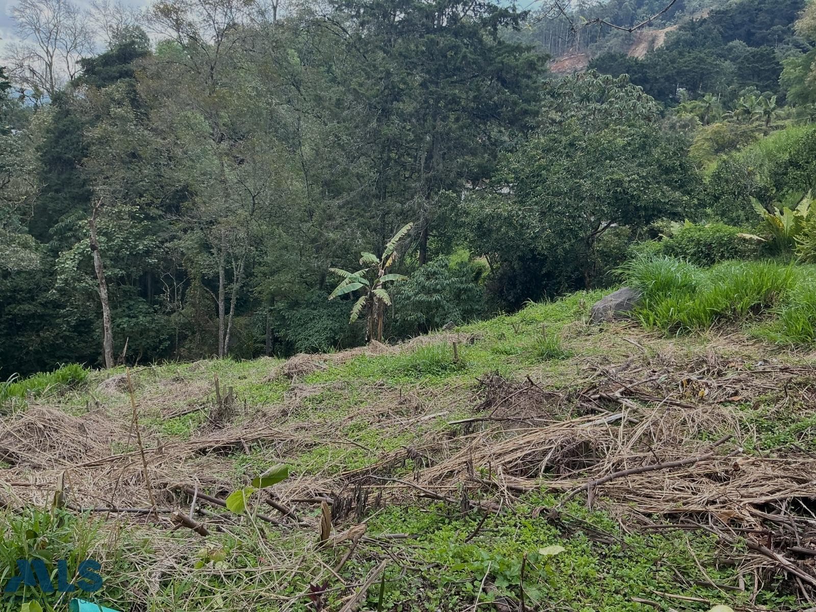 Lote Residencial en venta en Los Balsos Nº 1, Poblado, Medellín — foto 1 de 13