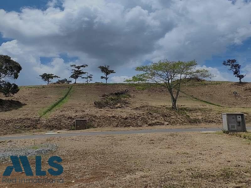 Lote Residencial en venta en Urbano (la, Oriente Antioqueño, La Ceja — foto 1 de 9