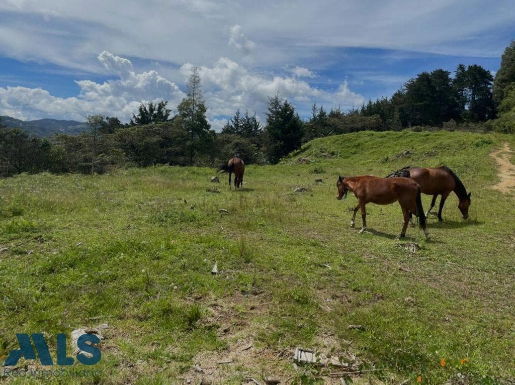 Lote Residencial en venta en Corredor La Fe El, Oriente Antioqueño, El Retiro — foto 1 de 24
