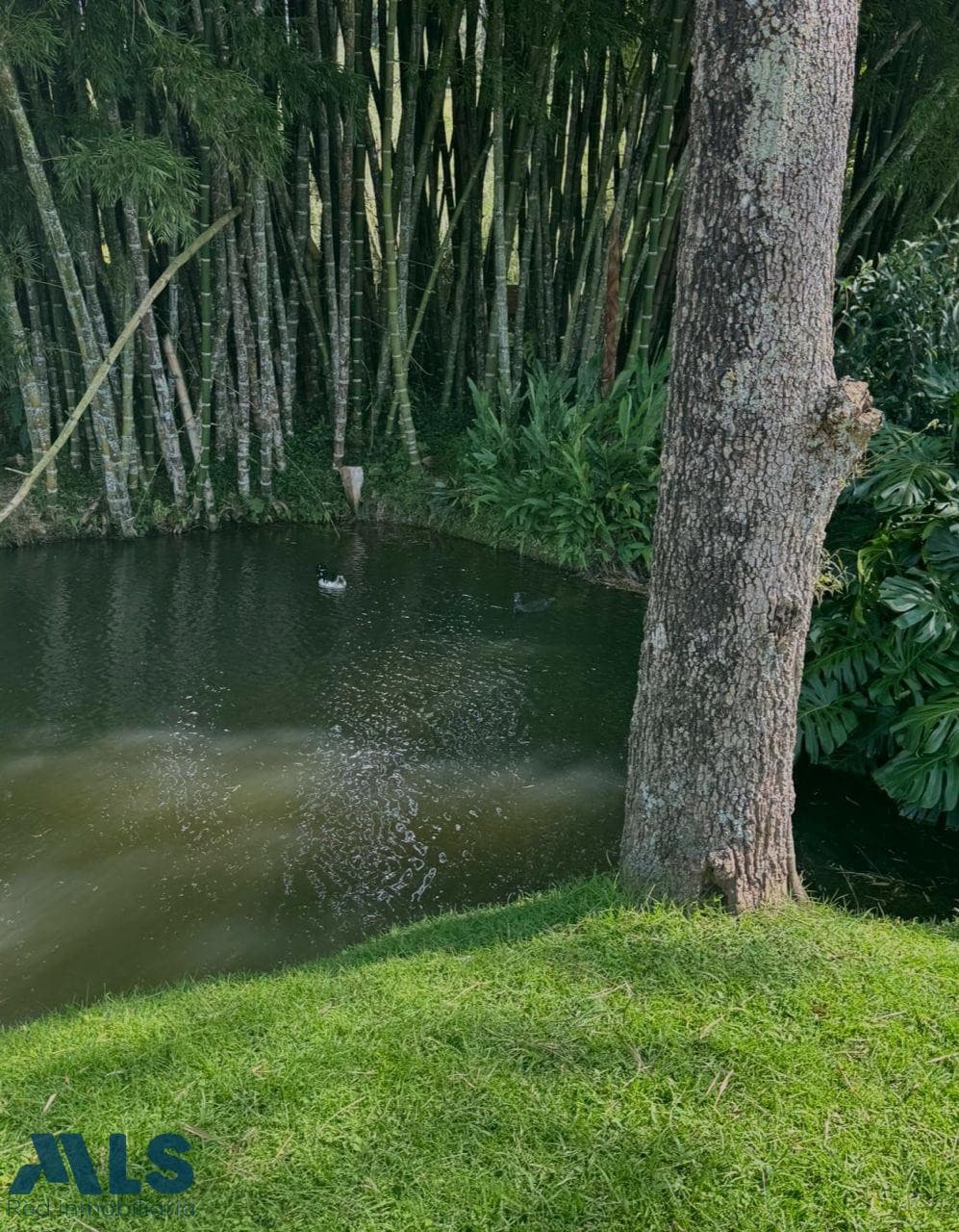 Lote Residencial en venta en V. Aguas Claras, Oriente Antioqueño, El Carmen — foto 1 de 15