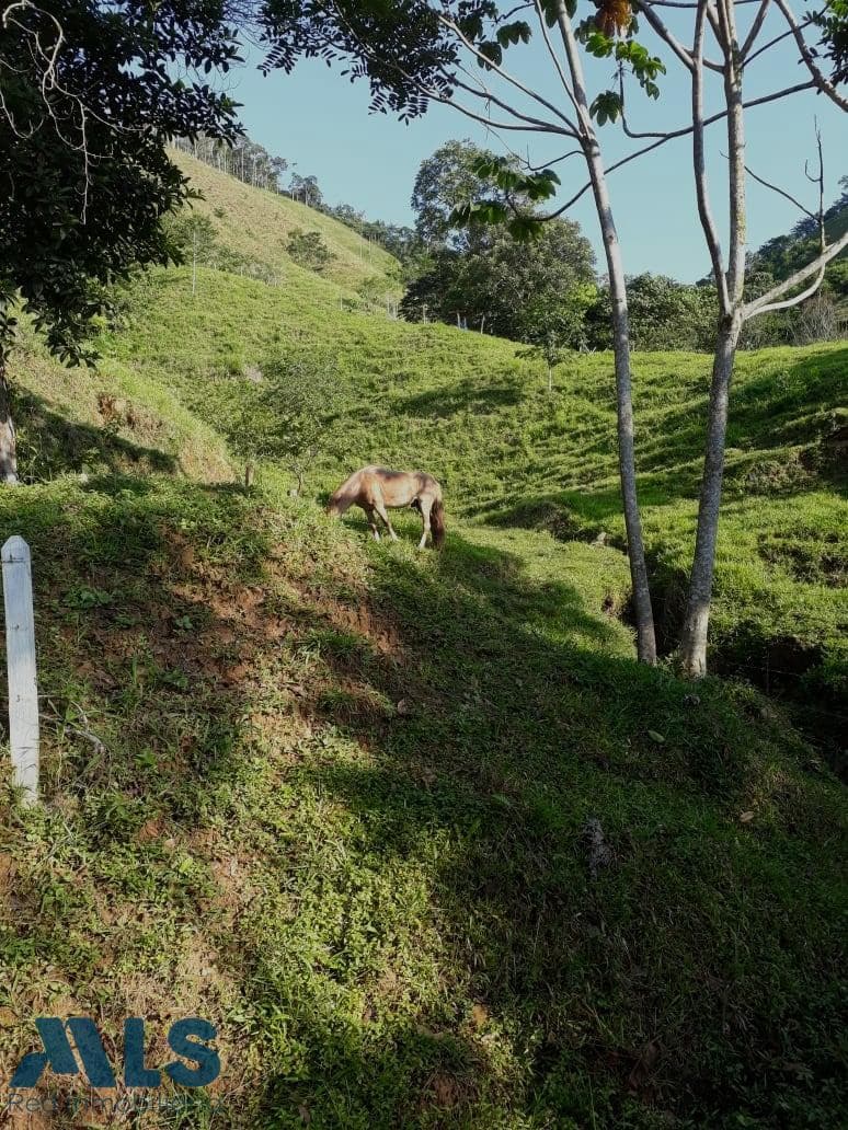 Finca Recreativa en venta en Vereda Patio Bonito, Oriente Antioqueño, San Carlos — foto 1 de 11