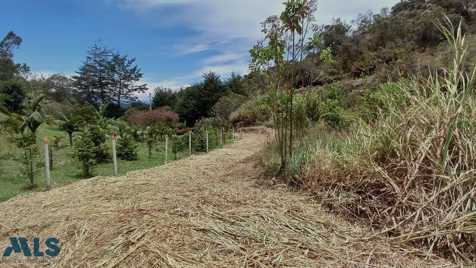 Lote Residencial en venta en Rural, Oriente Antioqueño, San Vicente — foto 1 de 19