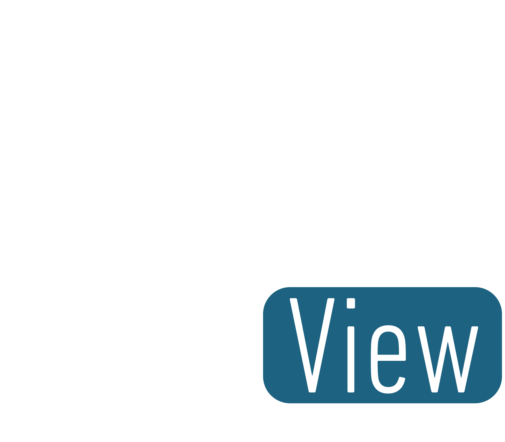 Ver video Flash View